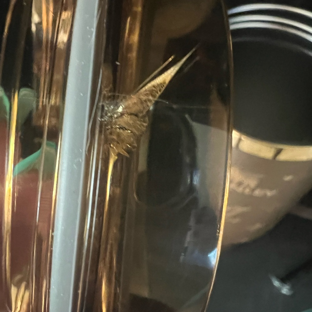 Stanley x LV Metallic Brown Tumbler with Gold Logo includes lid and straw - Picture 7 of 9